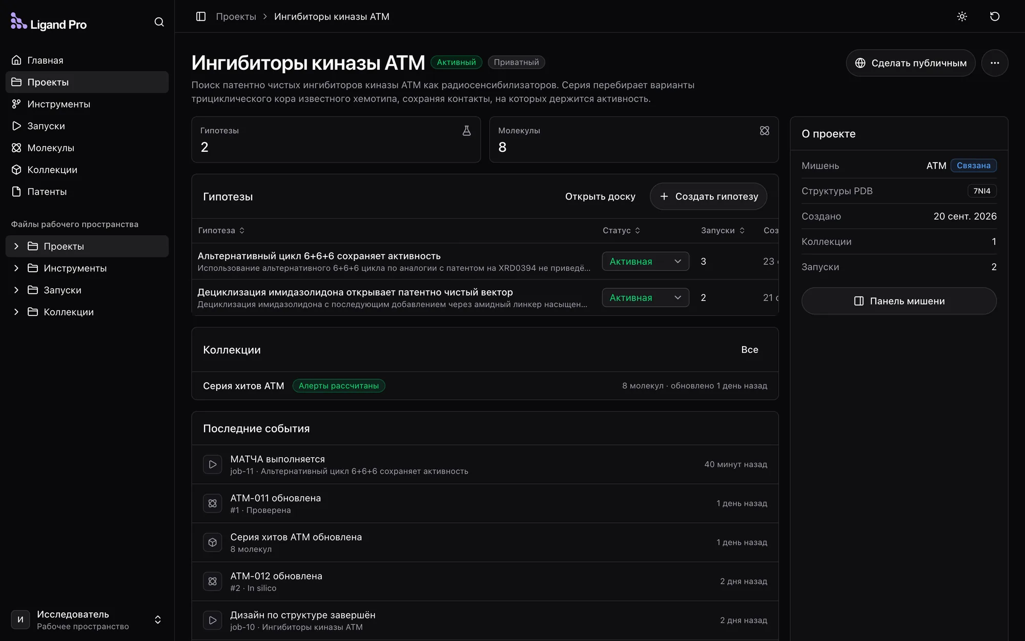 Страница проекта: мишень, гипотезы, коллекции и последние события